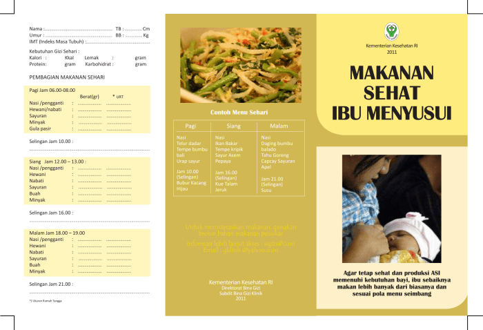 Resep makanan untuk ibu menyusui