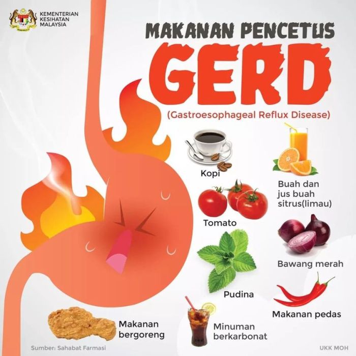 Resep makanan yang cocok untuk penderita penyakit terminal