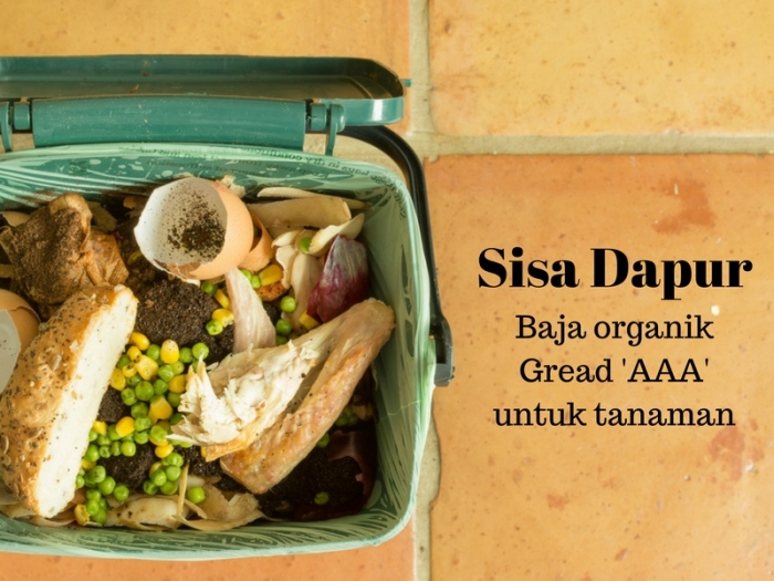 Resep makanan dari bahan sisa