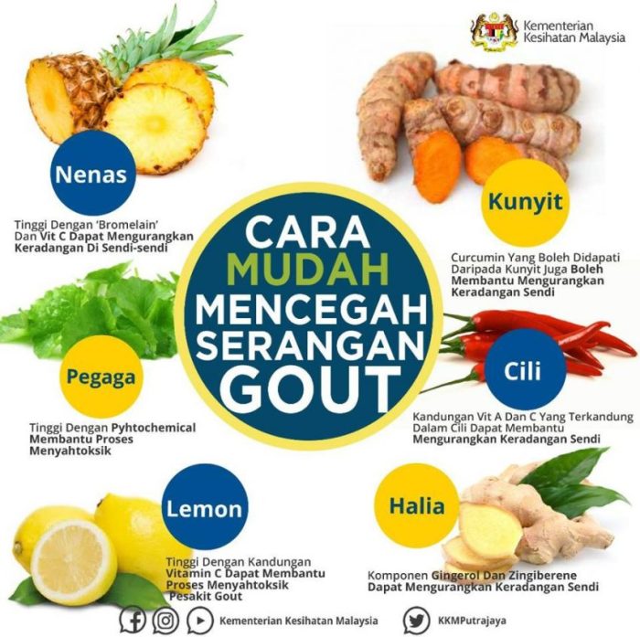 Resep makanan yang cocok untuk penderita penyakit tidak menular