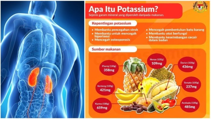 Resep makanan yang cocok untuk penderita penyakit tidak menular